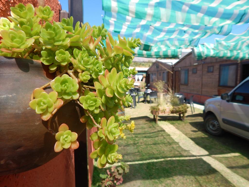 Hostal Del Suri 카파야테 외부 사진